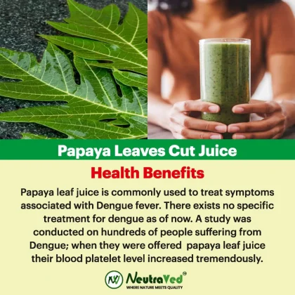 Papaya Leaves image 3